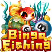 new8 Câu Cá Bingo